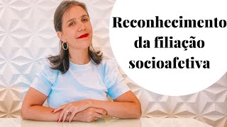 Reconhecimento de filiação socioafetiva  Natália Fachini [upl. by Scoter]